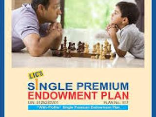 LIC Single Premium Endowment 717
